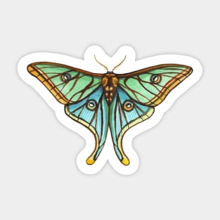 Marvelous Spanish Moon Moth Sticker